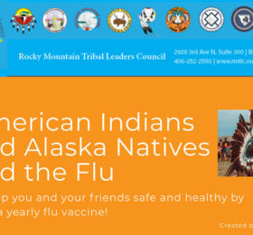American Indians and Alaska Natives Flu
